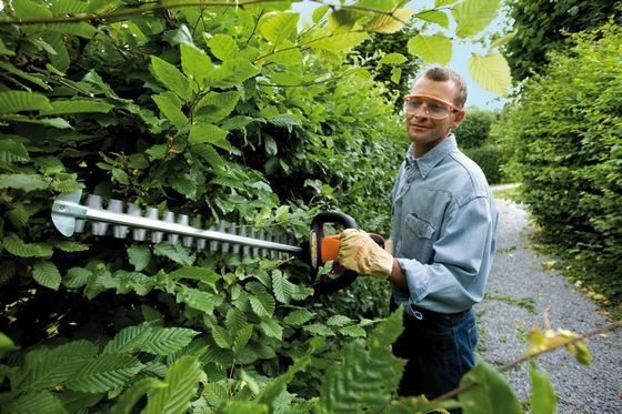 C&O Garden Machinery - Stihl hedgecutter