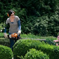 Stihl hedgetrimmers at C&O Garden Machinery