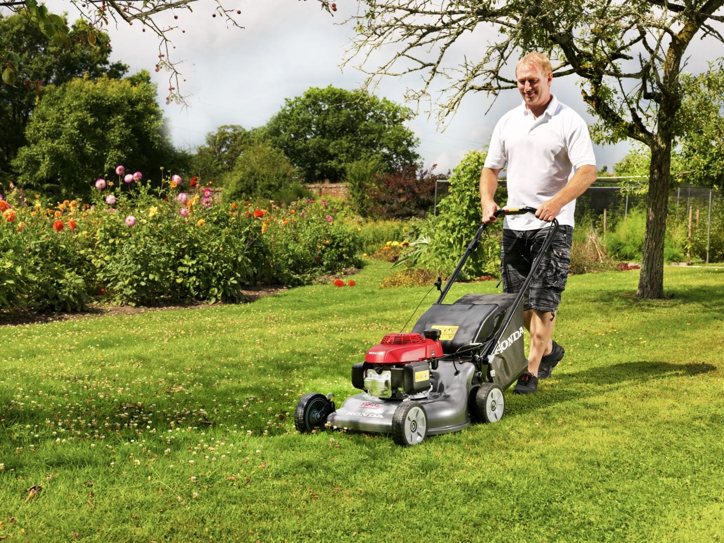 Honda mowers at C&O Garden Machinery