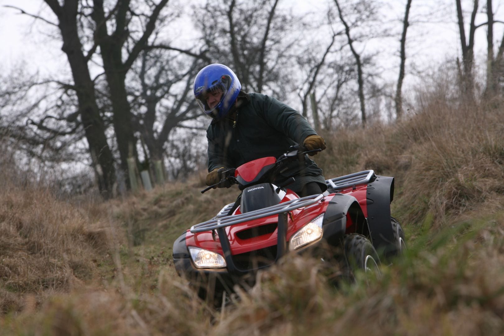 Honda TRX650