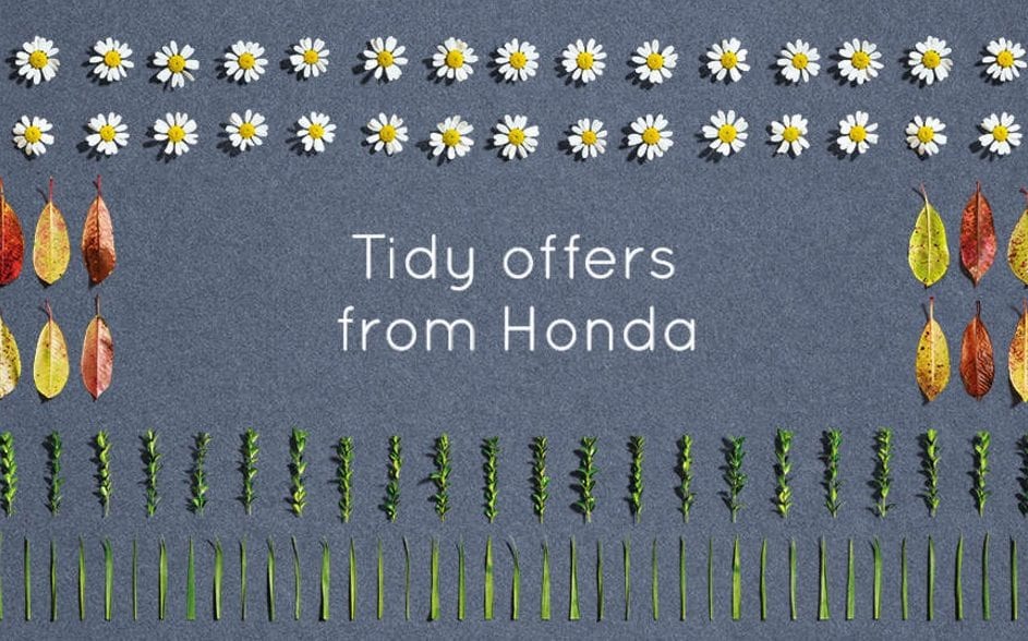 Honda Tidy Offers