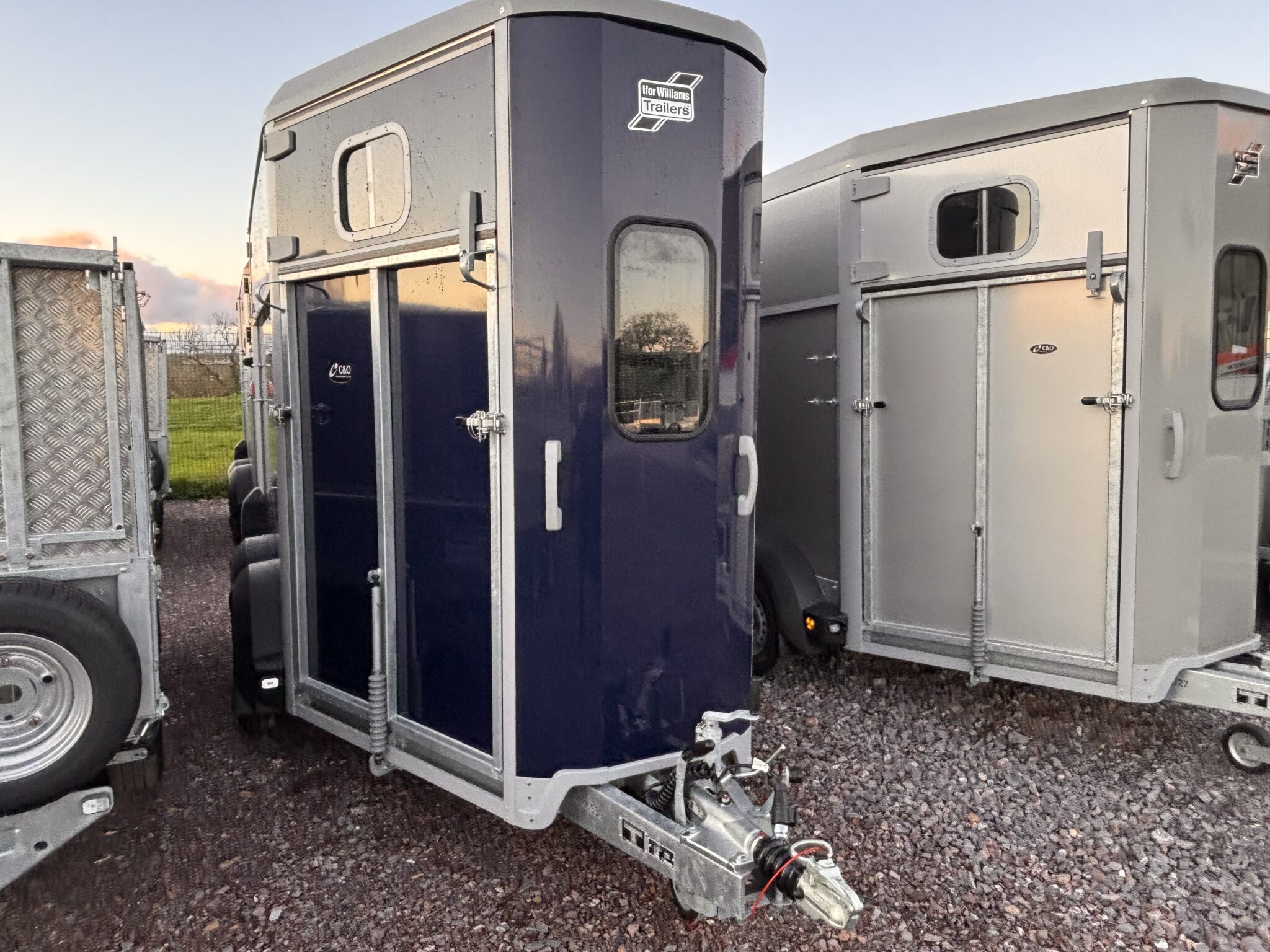 ifor-williams-hb511-blue-horse-trailer-c-o